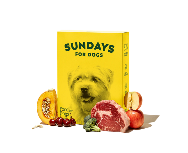 Air-Dried Dog Food Beef