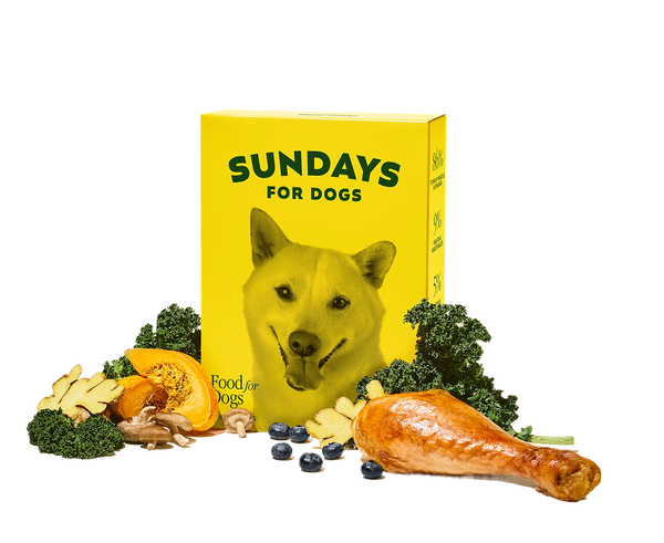Air Dried Dog Food Turkey